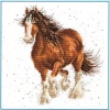 Feathers (Counted Cross Stitch Kit)